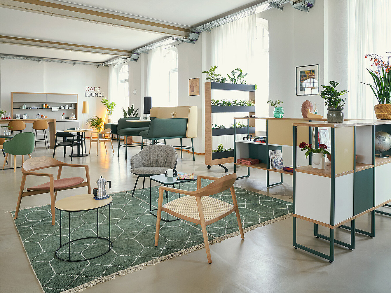 Helle Café-Lounge mit modernen Stühlen, Tischen, Pflanzen und Regalen in einem offenen Raum