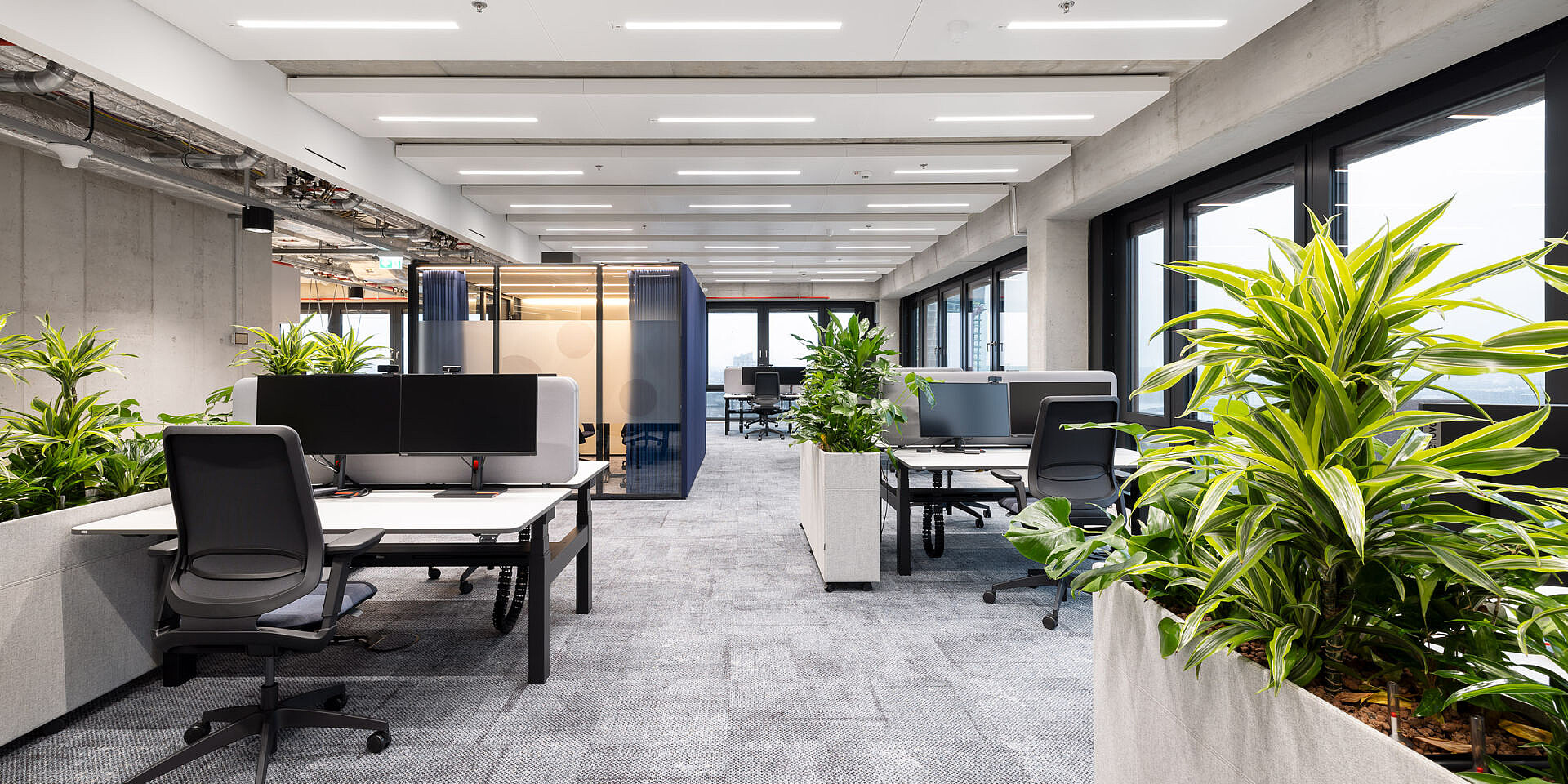 Modern office with height-adjustable temptation c desks and se:flex office swivel chairs, plants separate work areas.  
