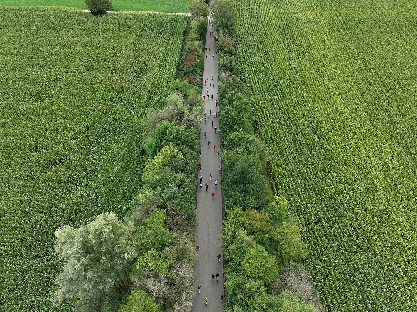 Sedus RUN 2024