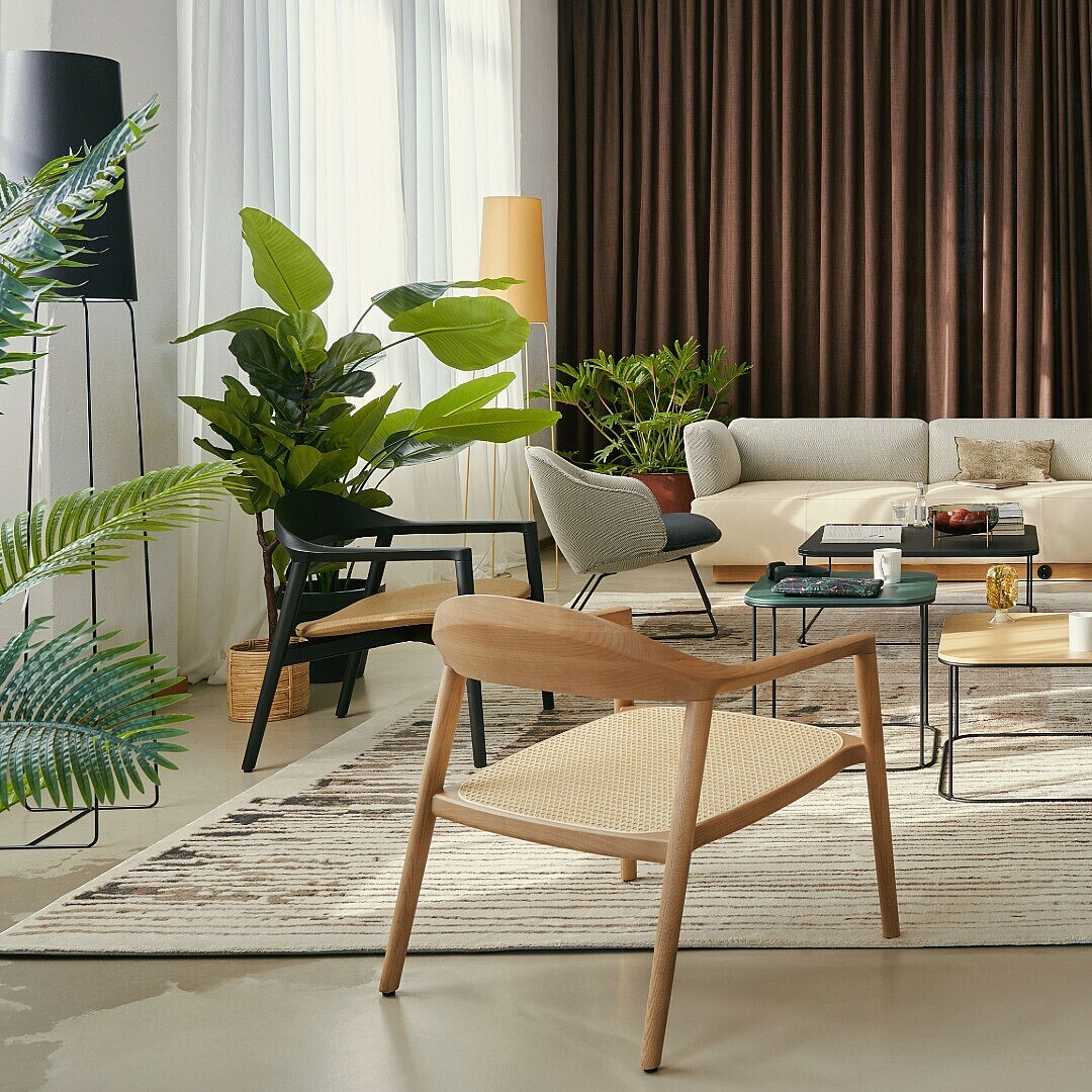 Modern eingerichteter Bürobereich mit mehreren Stühlen, Sofas, Couchtischen und zahlreichen großen Zimmerpflanzen vor braunen Vorhängen
