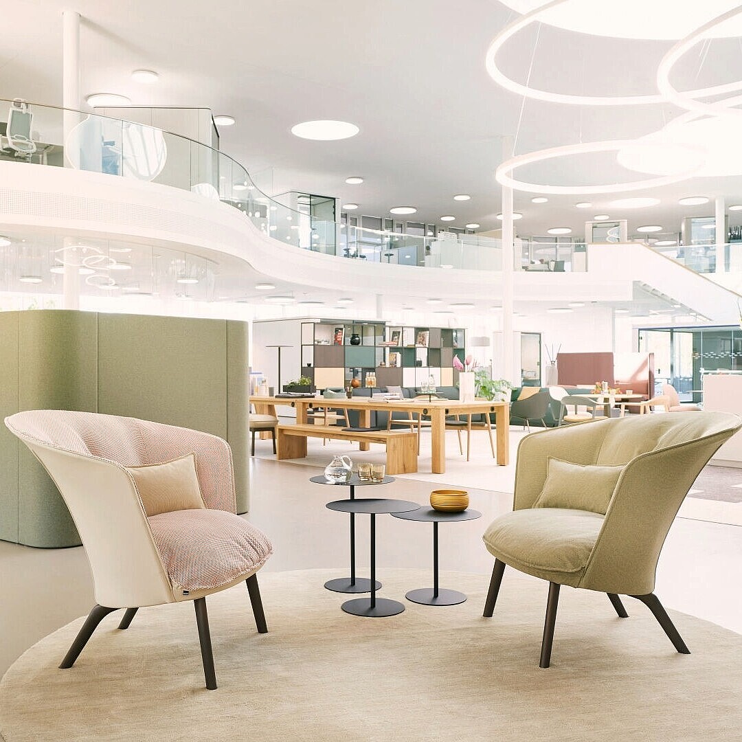 Bright modern office with two upholstered armchairs around a small round table on a round rug and plant shelves in the background