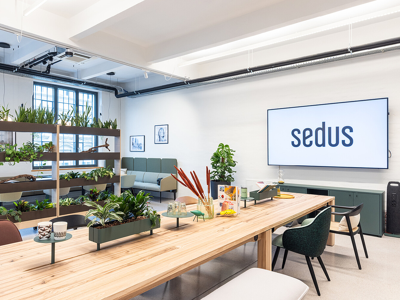 Showroom Viena