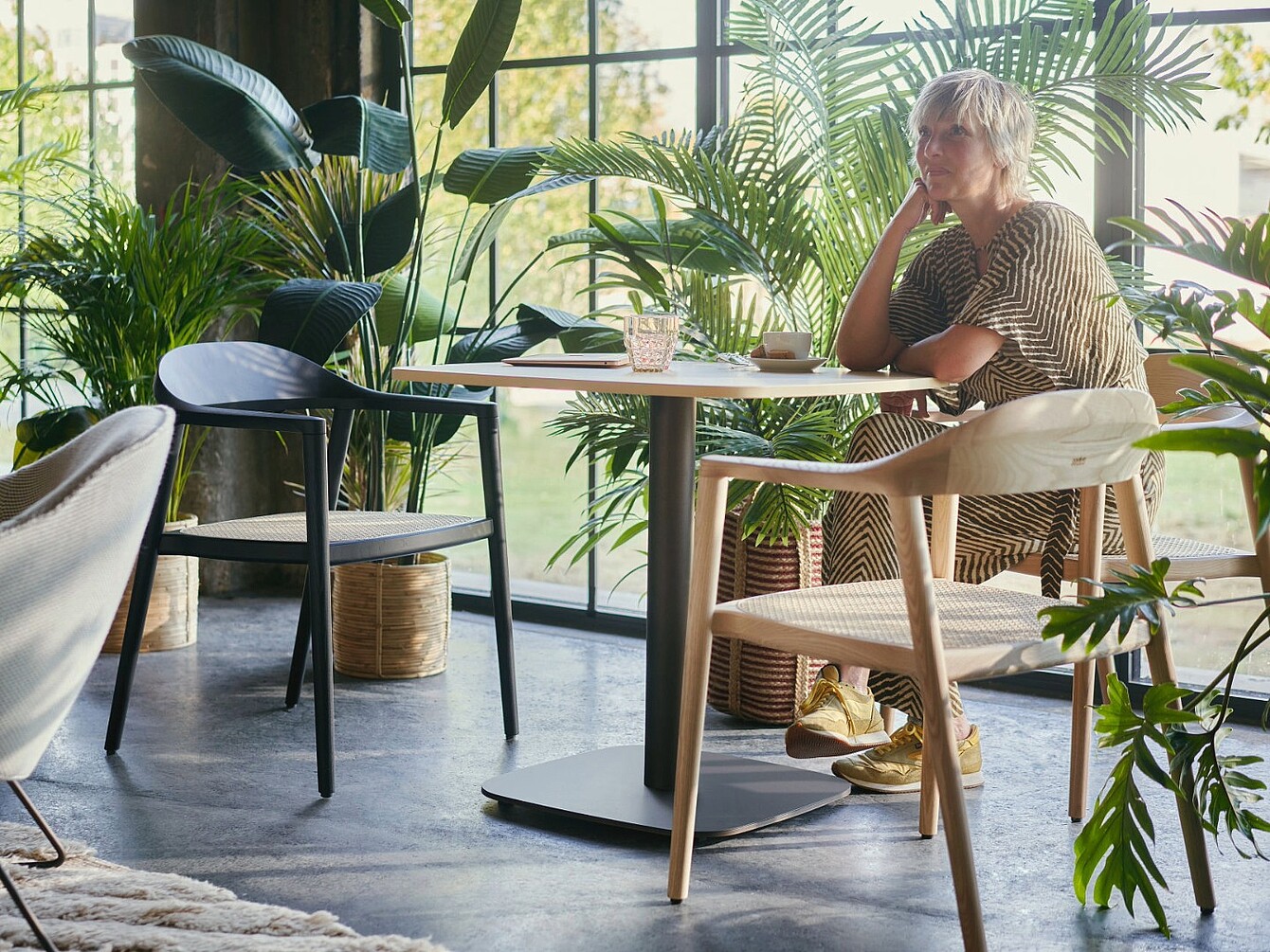 Persona sentada en una mesa redonda en una sala luminosa con grandes ventanas y muchas plantas
