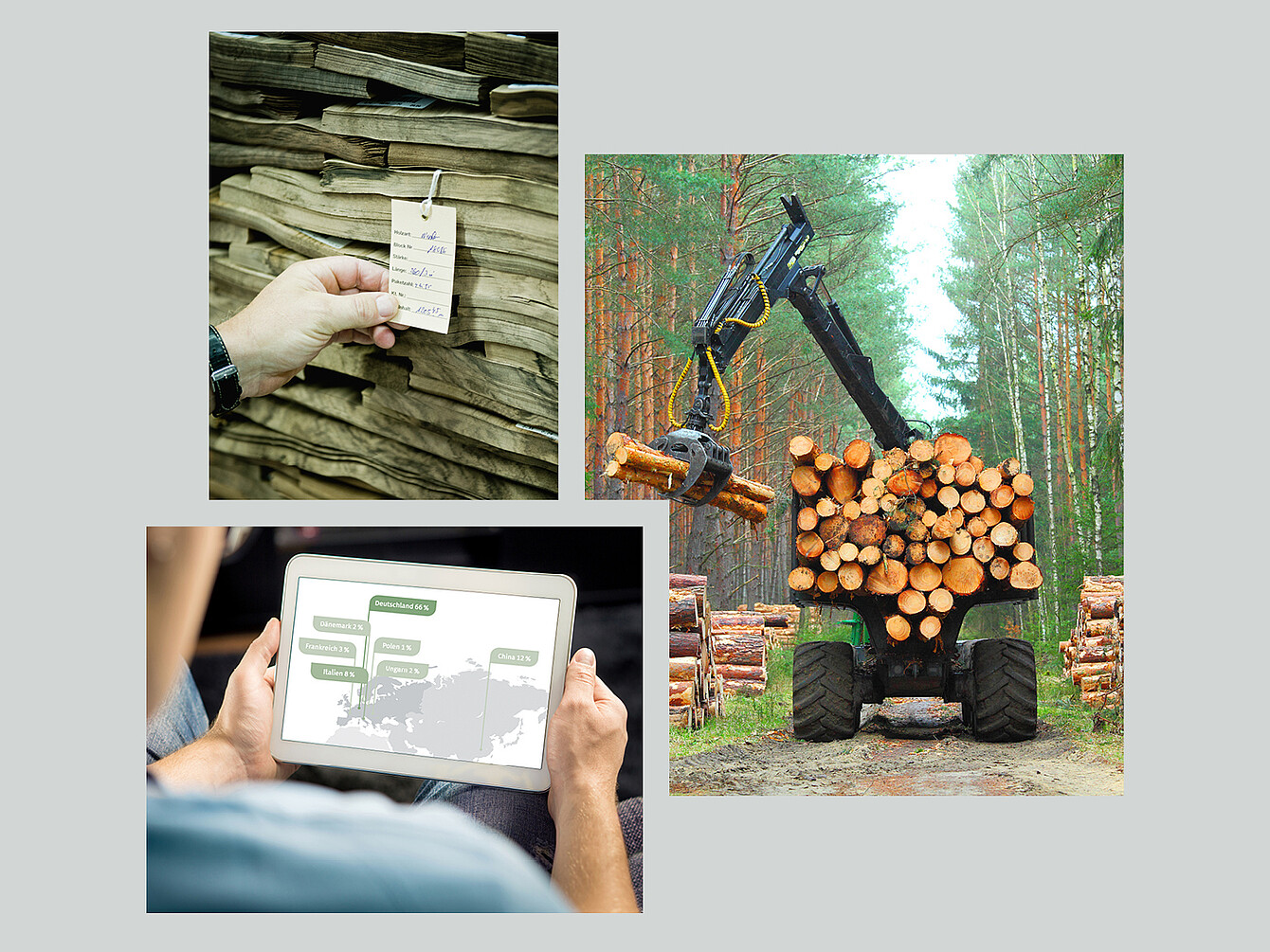 Una etiqueta en madera apilada, una máquina forestal cargando troncos y una persona mirando un mapa con ubicaciones etiquetadas en una tableta, ilustrando el compromiso de Sedus Stoll AG con los objetivos científicos para la acción climática.