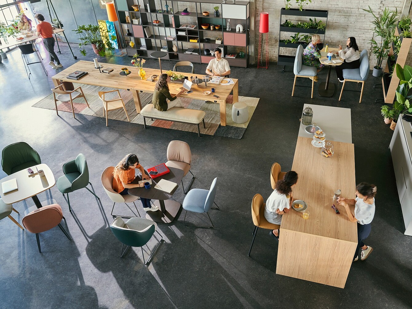 Spazio di lavoro open space con persone sedute a vari tavoli che lavorano e conversano tra piante e scaffali