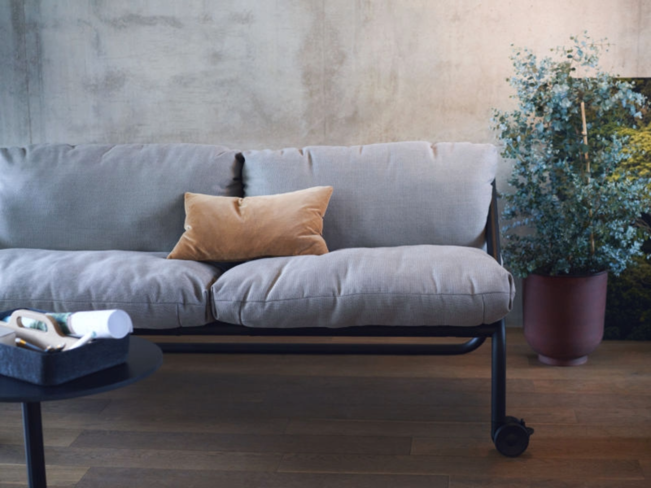 Hellgraues Sofa mit schwarzem Metallgestell und einem beigen Kissen vor einer hellen Wand neben einem großen Topf mit grünem Pflanzenzweig
