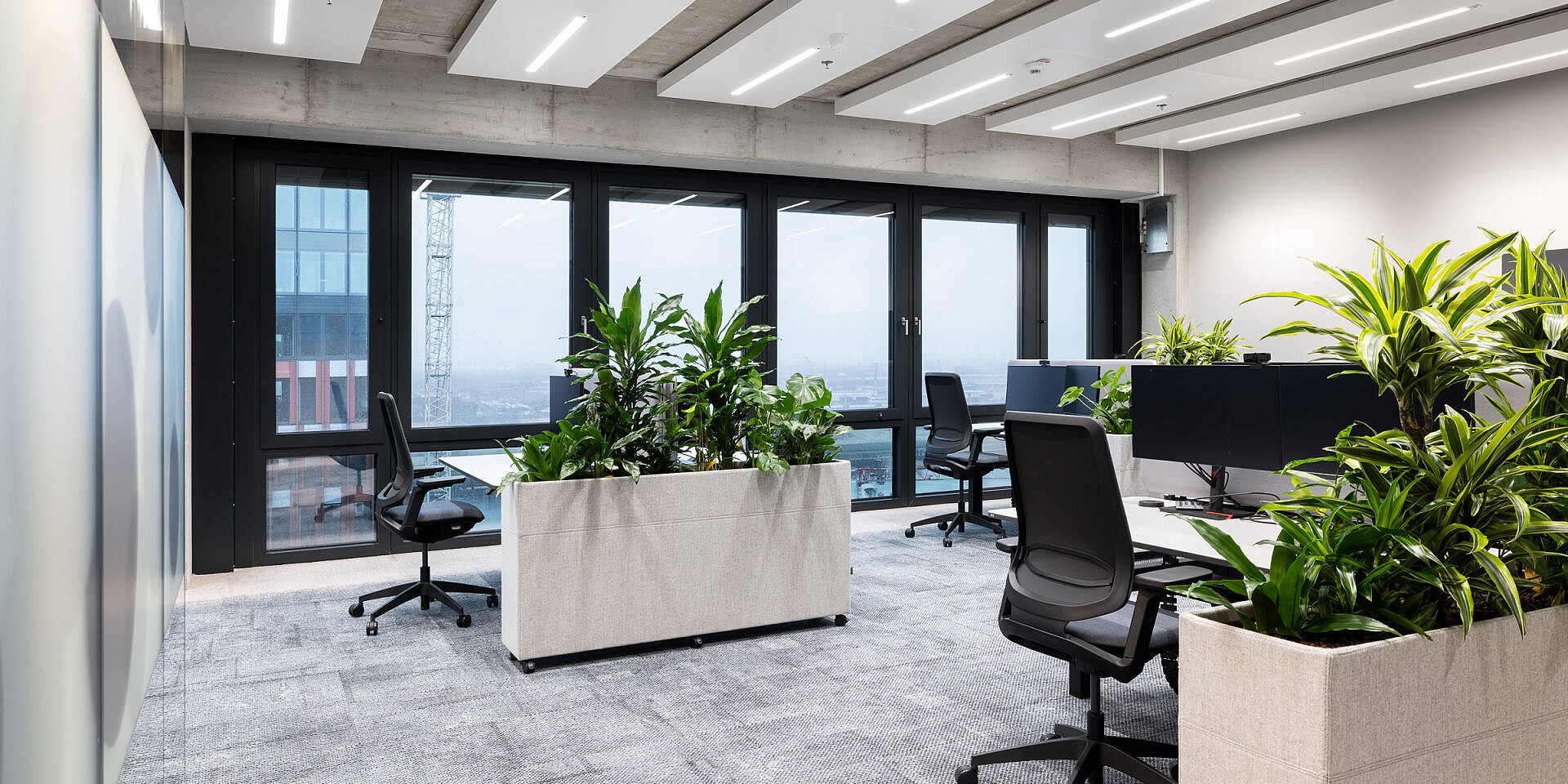 Modern office with height-adjustable temptation c desks and se:flex office swivel chairs, plants as room dividers, large windows with city view. 