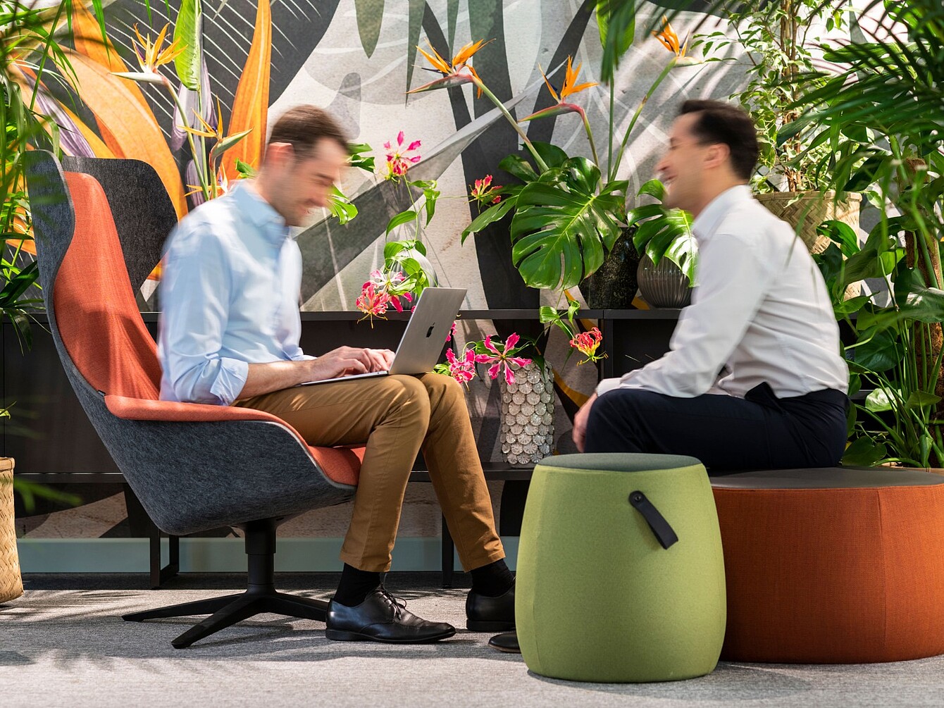 Deux personnes assises dans un espace de bureau rempli de plantes, l’une utilisant un ordinateur portable et l’autre lui faisant face de l’autre côté d’une table basse