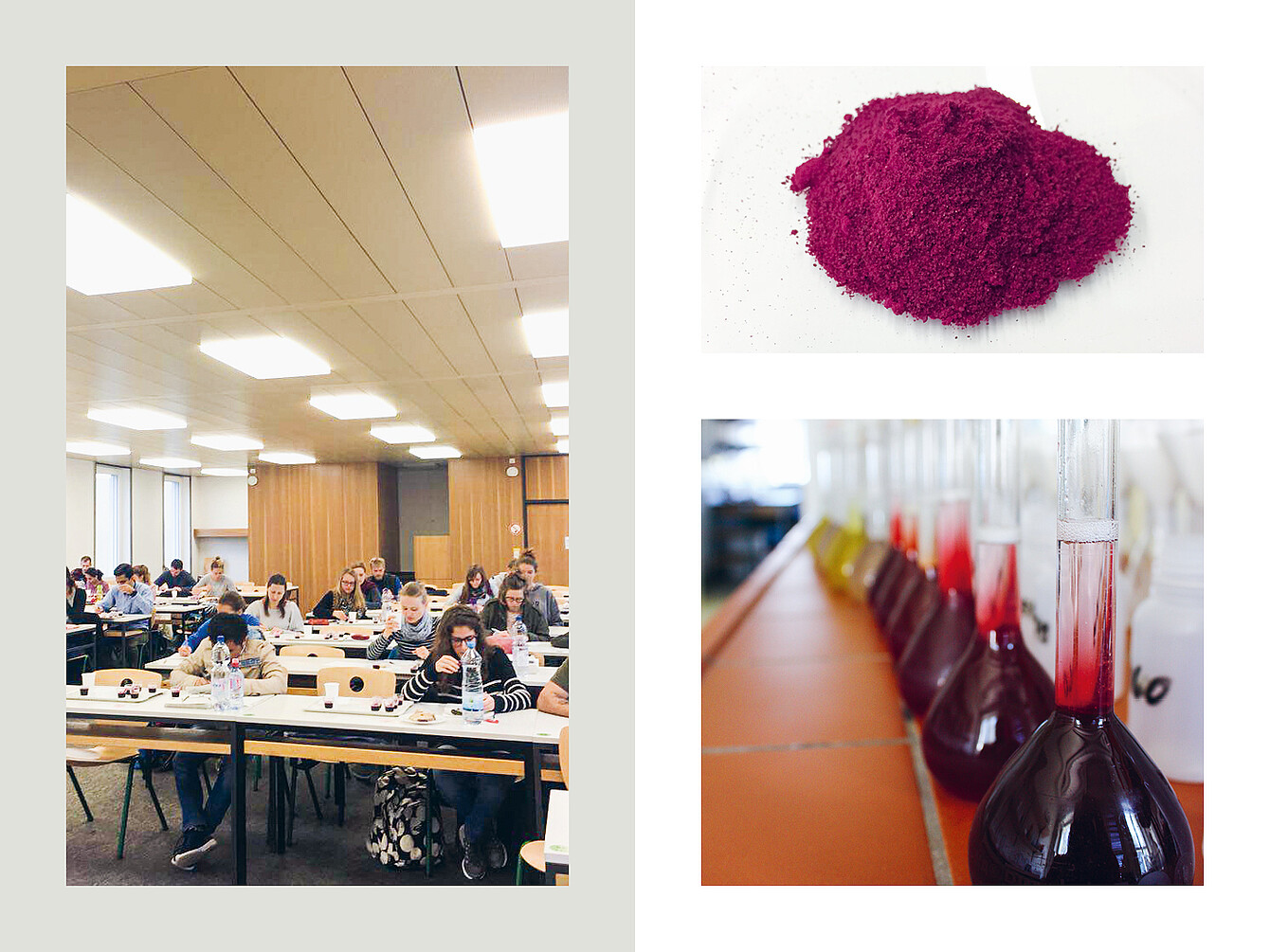 Aula con estudiantes sentados en pupitres utilizando ordenadores portátiles y cuadernos. Pila de polvo de remolacha roja sobre una superficie blanca. Material de laboratorio con líquido rojo oscuro en matraces dispuestos en fila sobre una encimera.