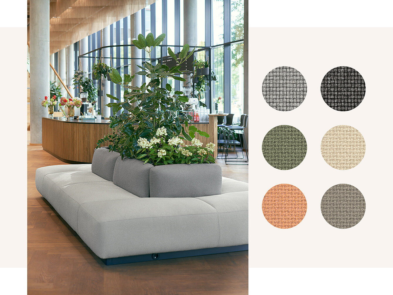 Una moderna area lounge con un divano modulare grigio con cuscini dello schienale rialzati e fioriere integrate piene di piante e fiori. A destra, sei campioni di tessuto in vari colori: grigio scuro, grigio chiaro, verde oliva, beige e arancione, che mostrano i tessuti per mobili Sedus.