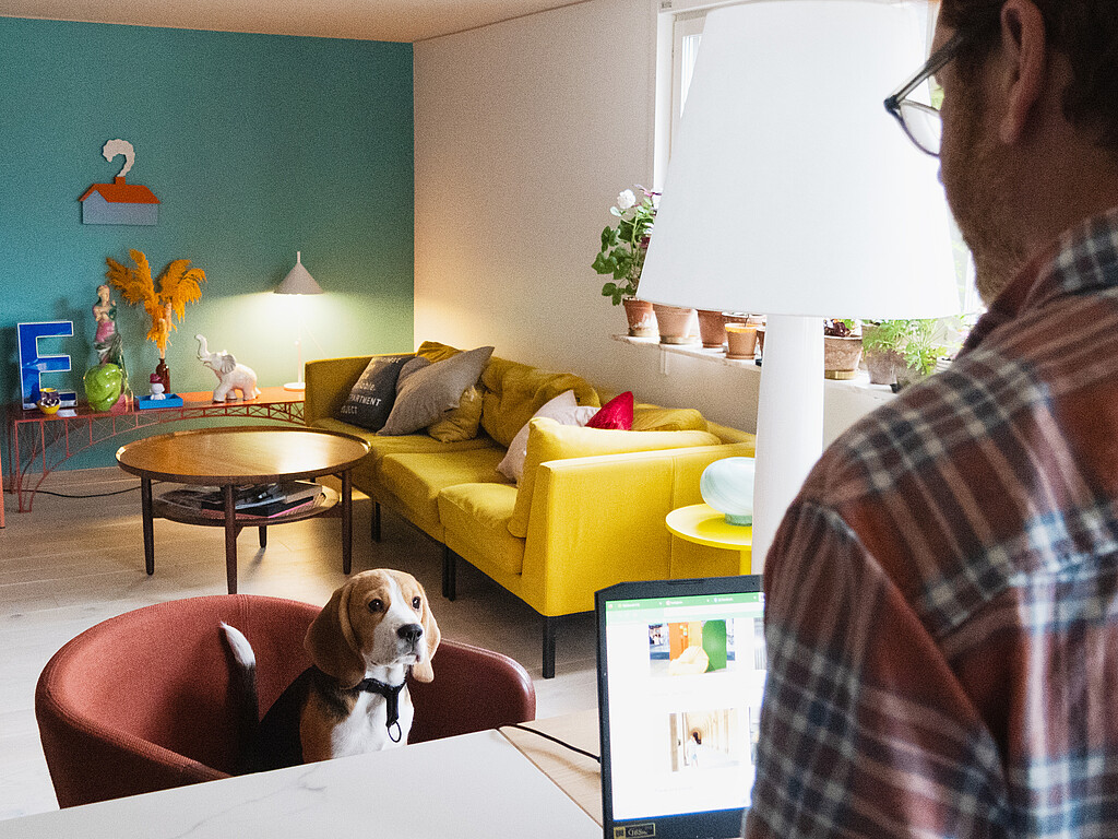 Man in a checkered shirt working on a laptop, dog sitting on a brown armchair, with a yellow sofa and plants in the background.