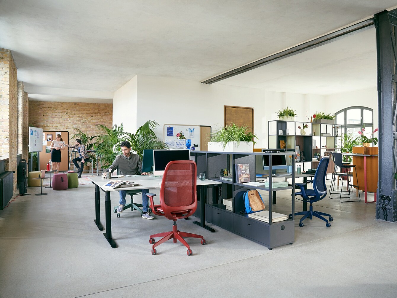 Ufficio open space con scrivanie separate da scaffali bassi, persone al lavoro e piante sugli scaffali e sulle scrivanie