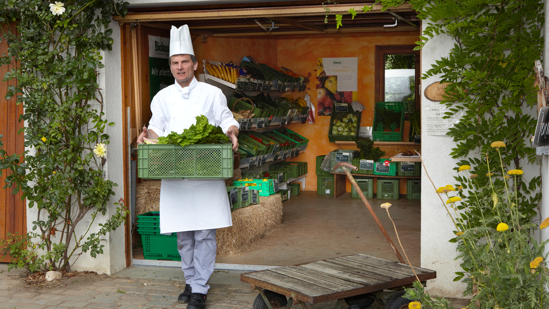 Il Work Café incontra l’esperienza culinaria: Come il buon cibo sta rivoluzionando il mondo del lavoro